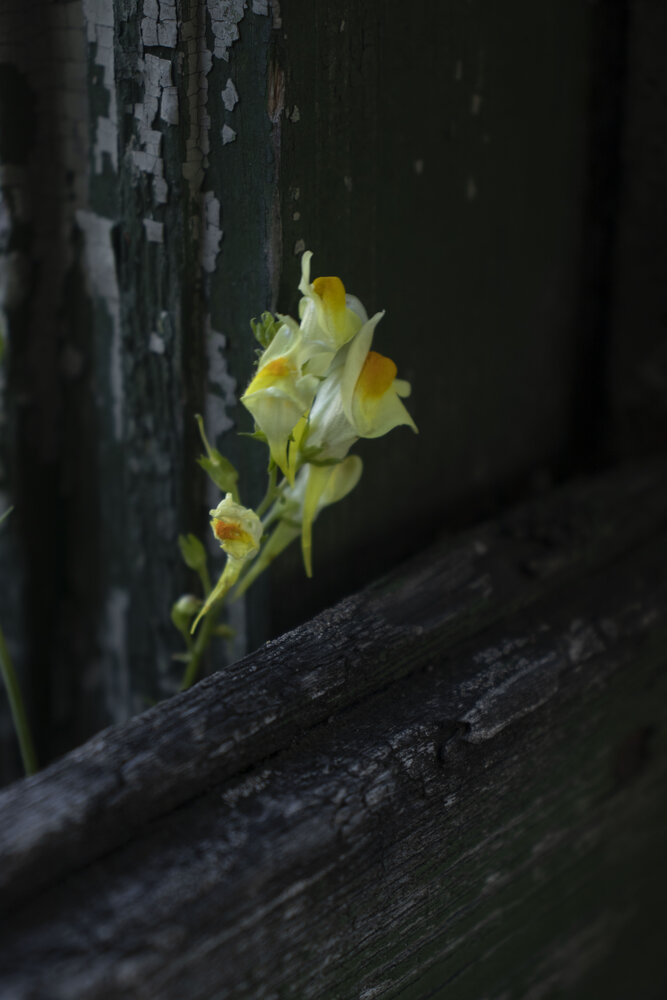 Photograph by Анна Малышева