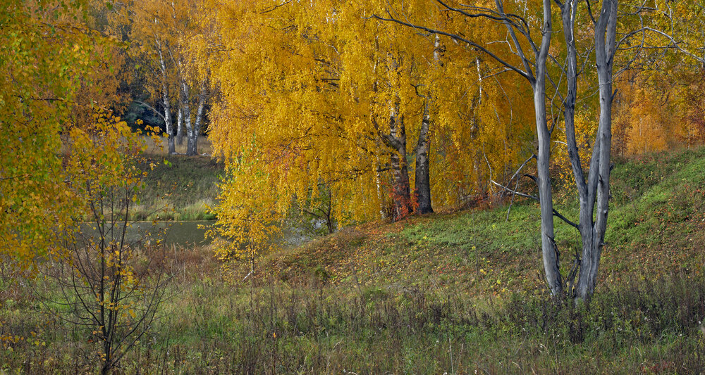 Photograph by Александр Сальников