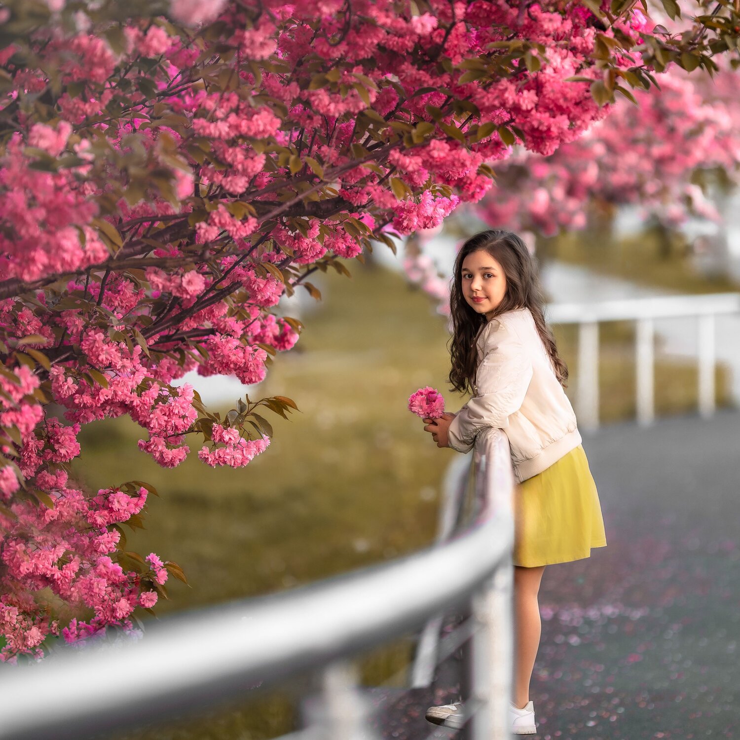 Maja
