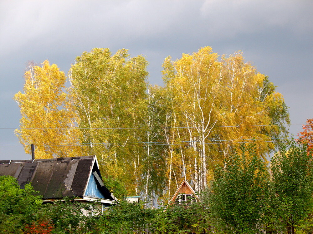 Осень