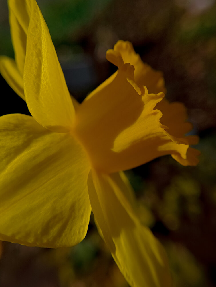 Photograph by Ольга Кунакова