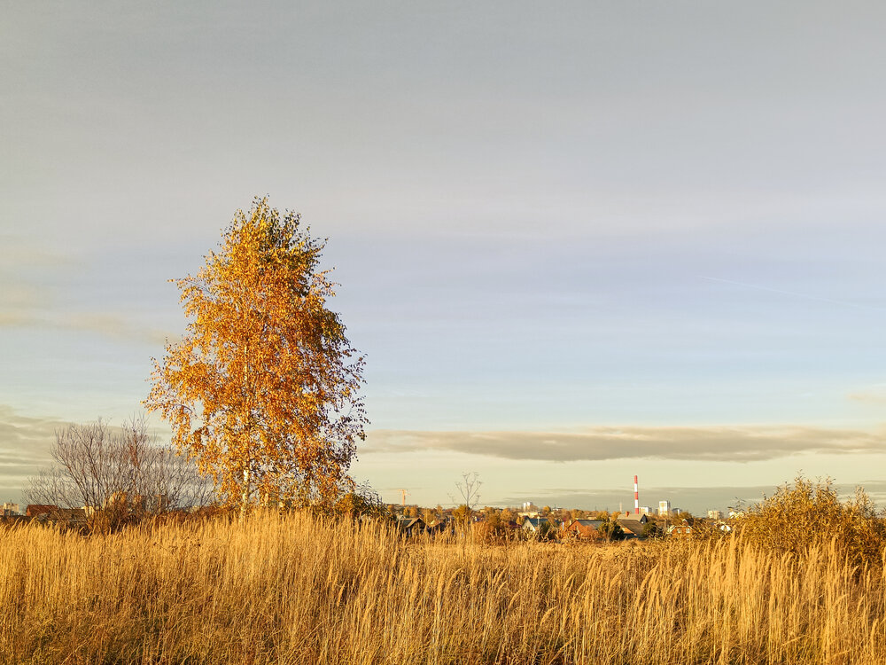 Photograph by Ольга Кунакова