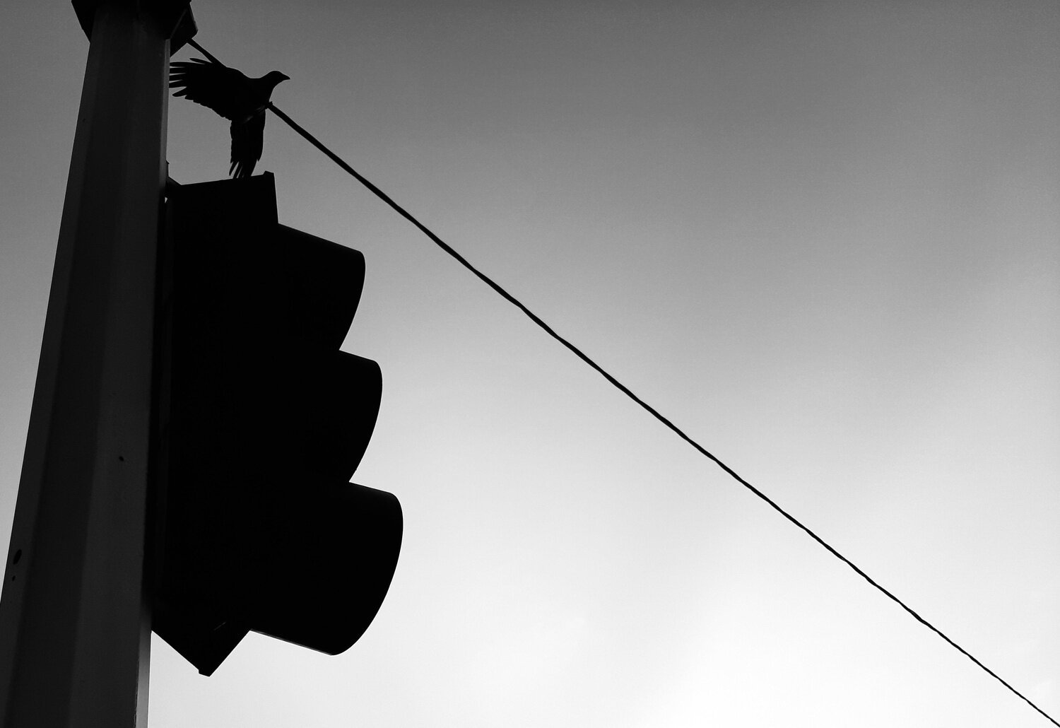 Tuesday on wire