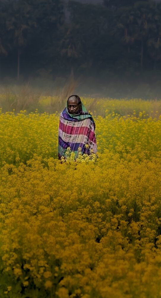 Фотография автора Biplob Ghosh