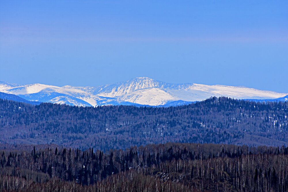 Photograph by Александр Прядко