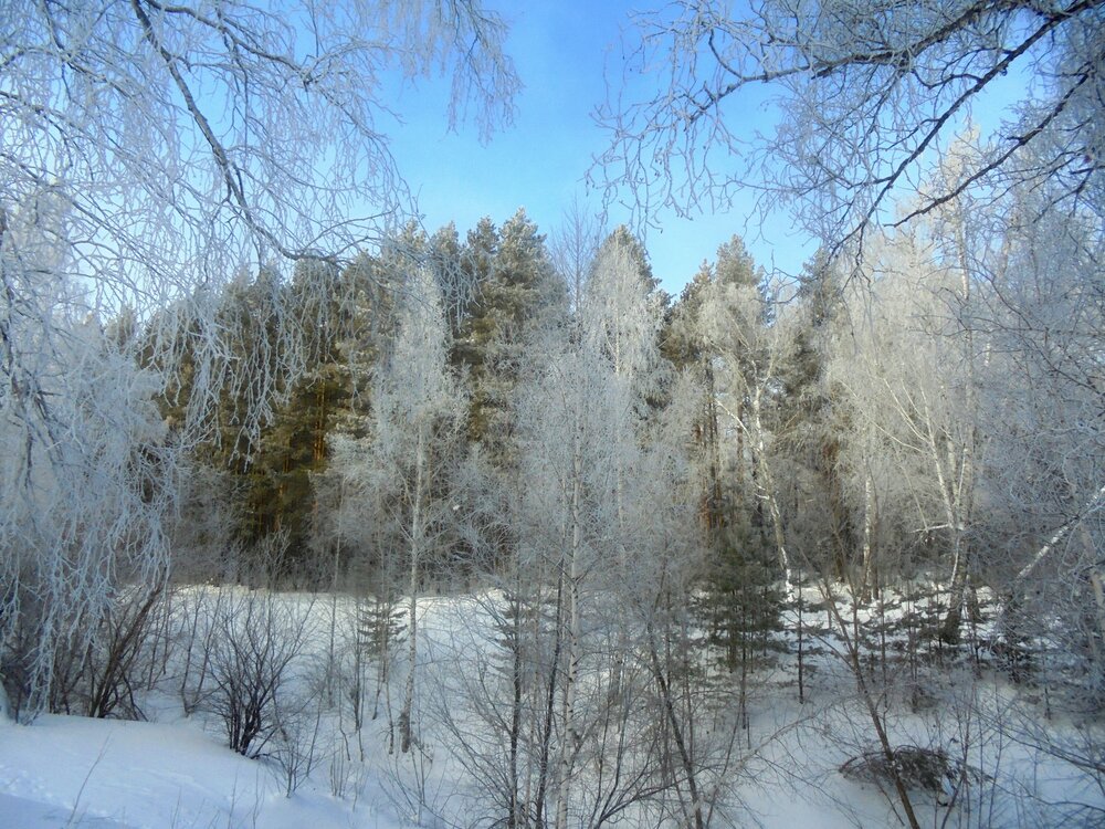 Photo #13813743