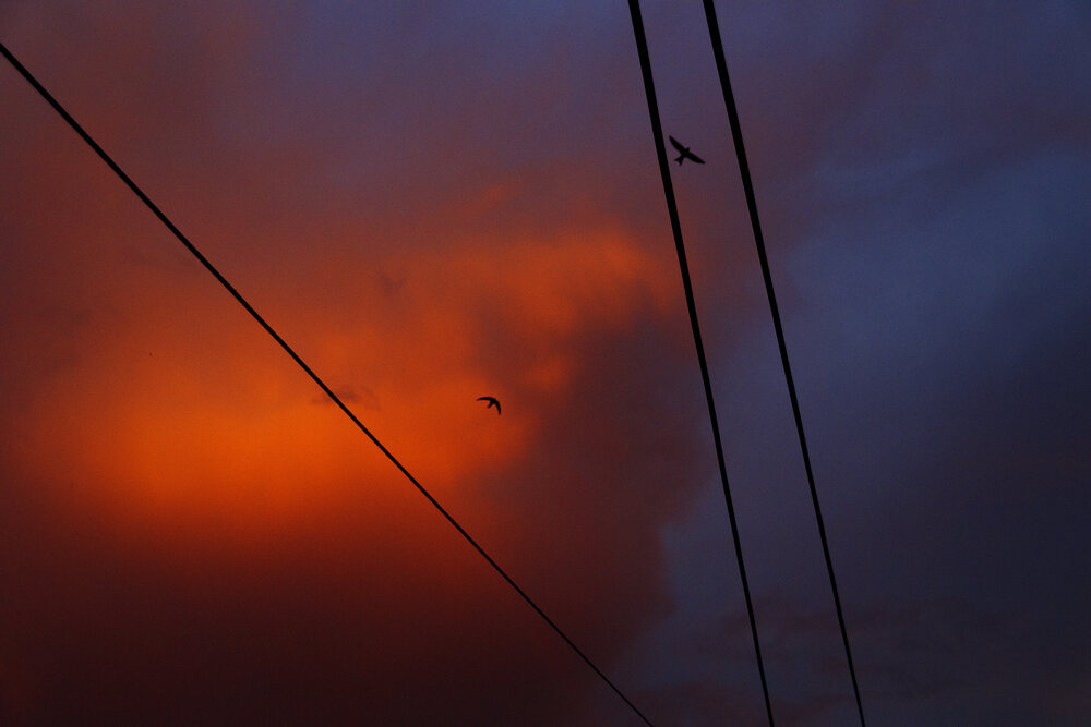 Photograph by Сергей Удовиченко