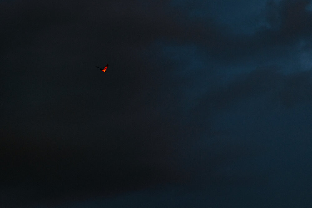 Photograph by Сергей Удовиченко