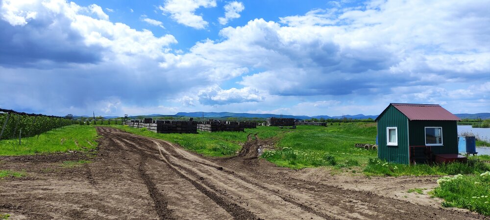 Photograph by Анфиса Васильченко
