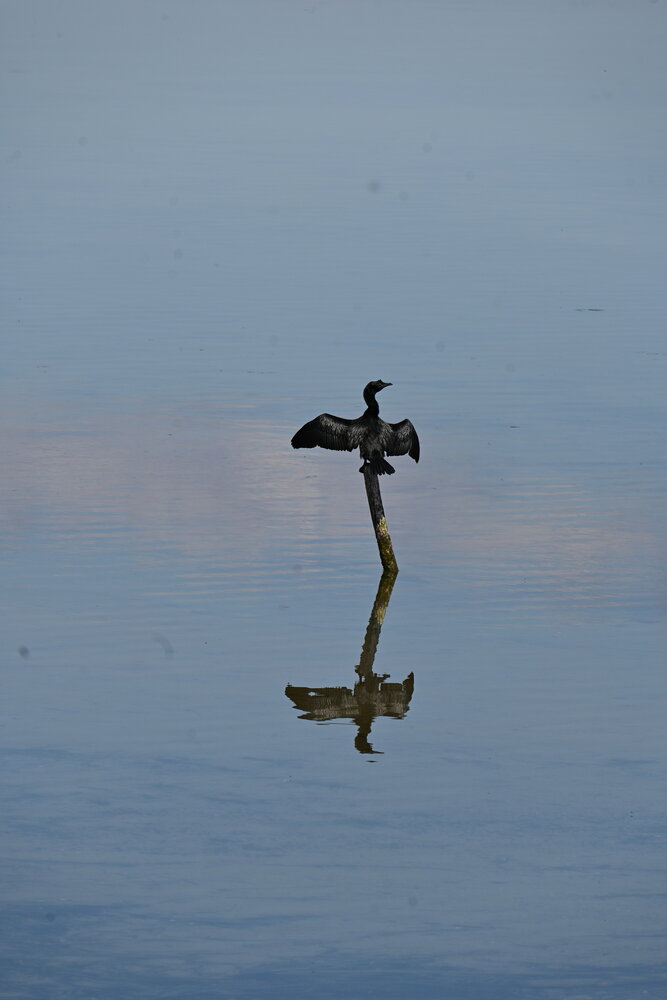 Photograph by Maria Vittoria Amoruso