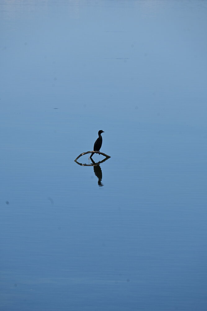 Photograph by Maria Vittoria Amoruso