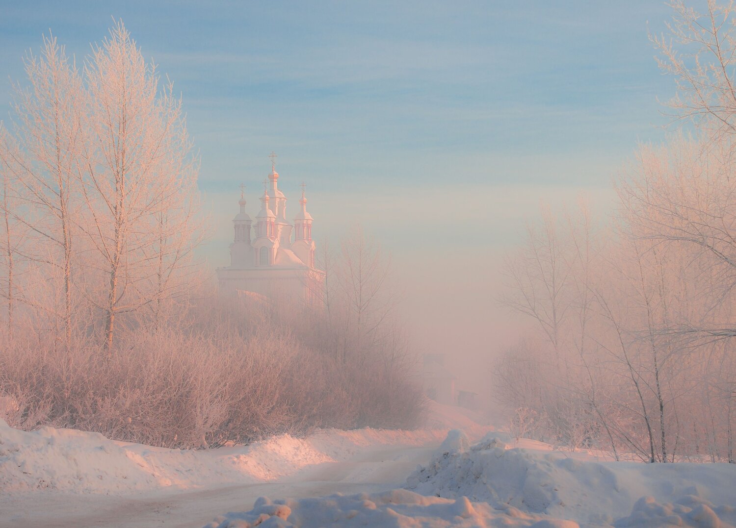 Photo #13814002