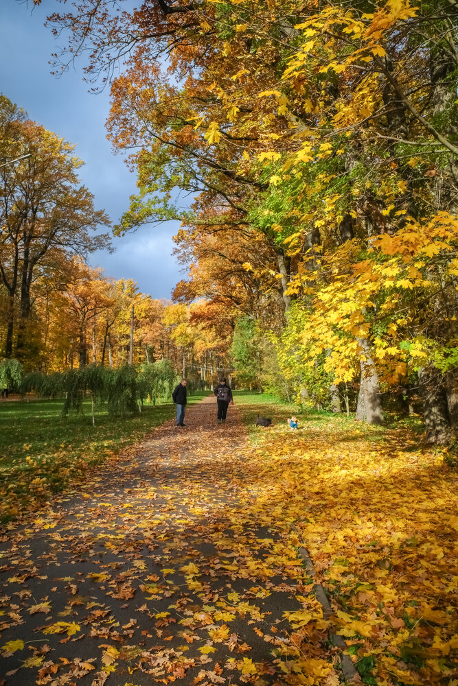 Photograph by Владимир Кузнецов
