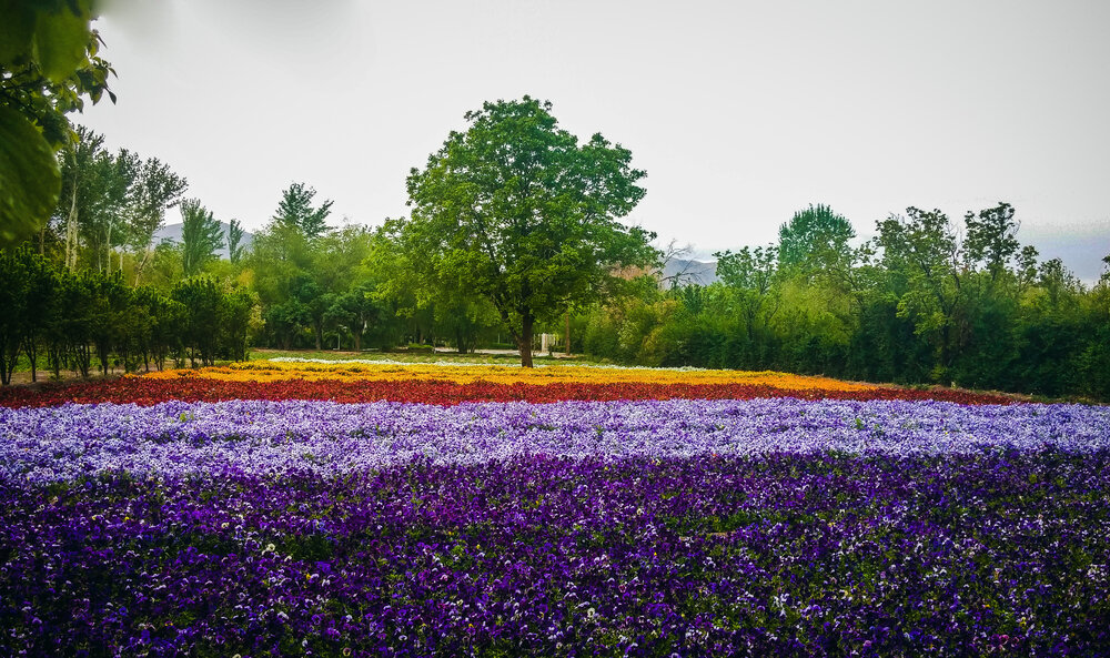 Colors of Spring