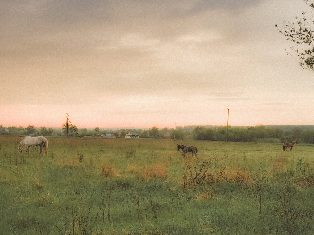 Photograph by Ольга Гапонова
