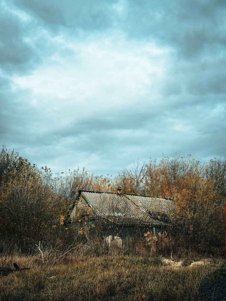 Photograph by Ольга Гапонова