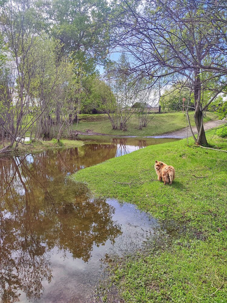 high water