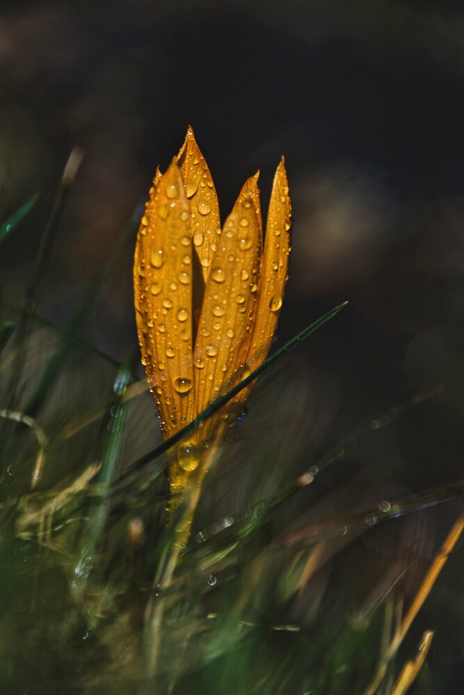 Photograph by Лейсан Авзалова