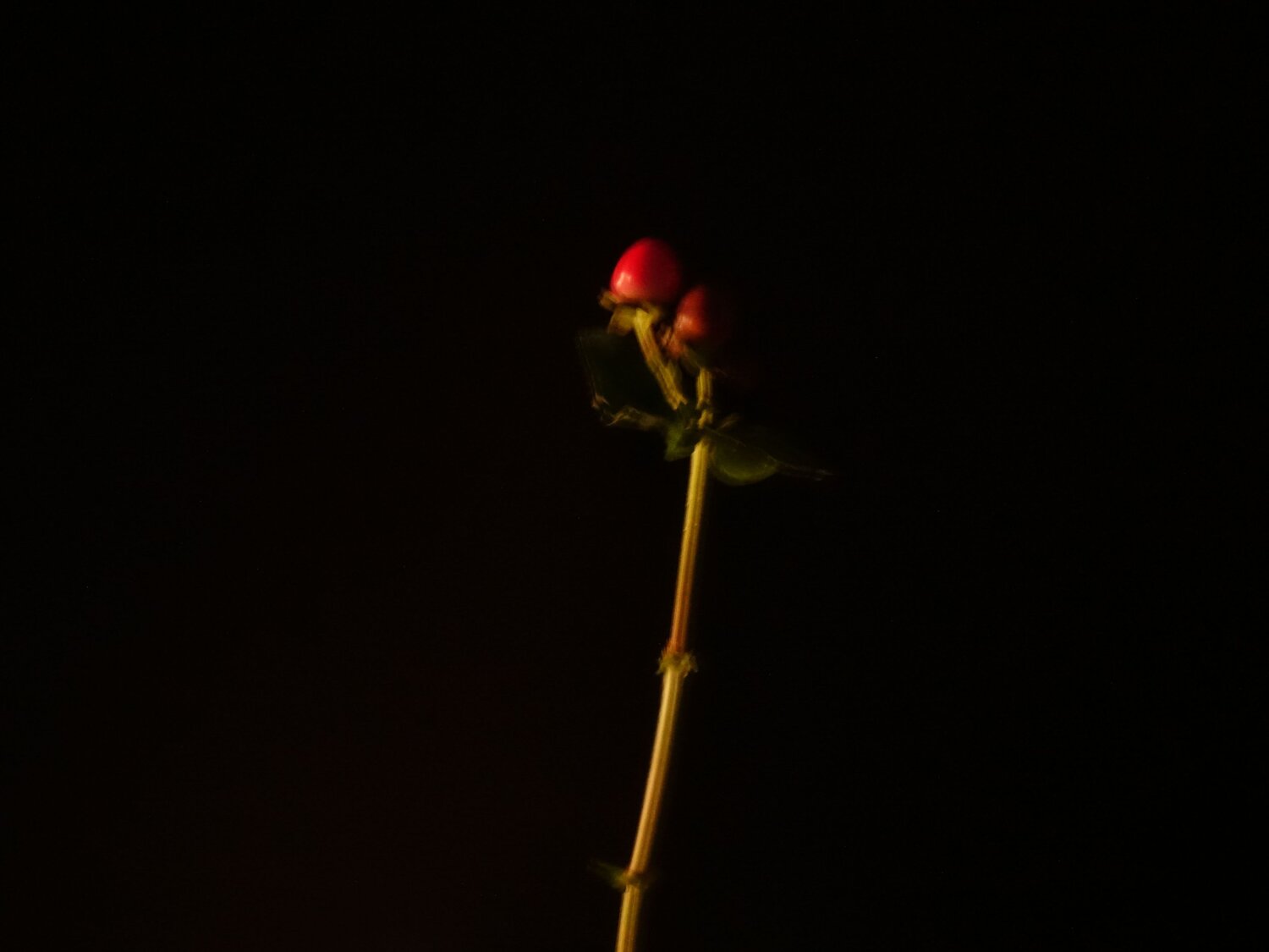 Photo #13814366