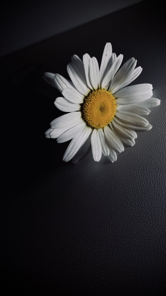 Photograph by Вячеслав Глазырин
