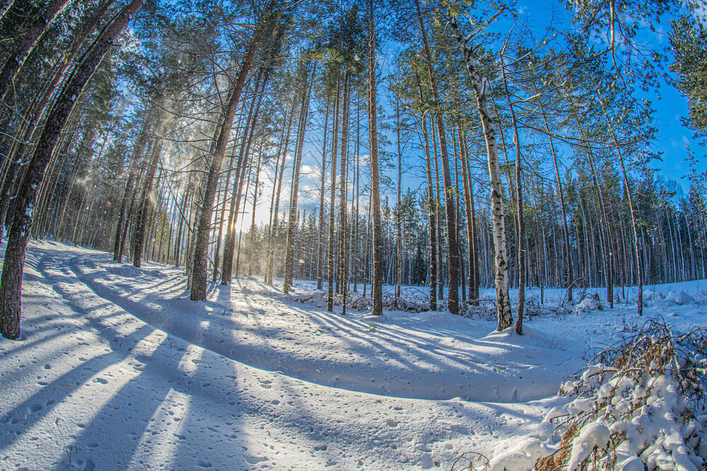 Photograph by Дмитрий Анисимов
