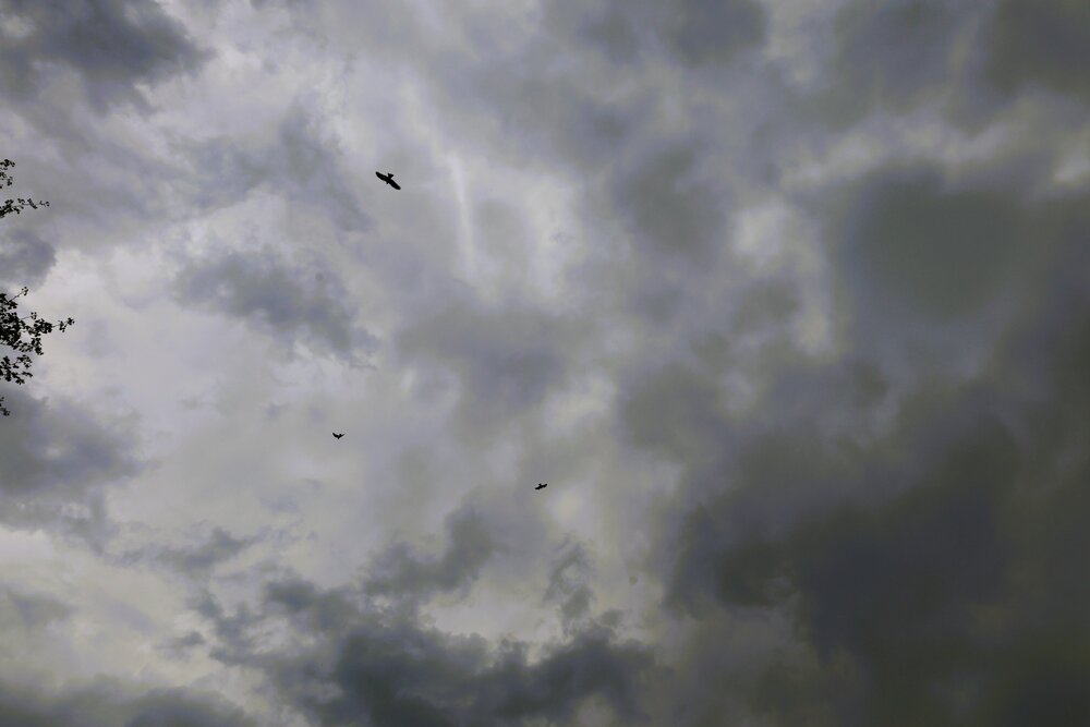 Photograph by G GOVIL