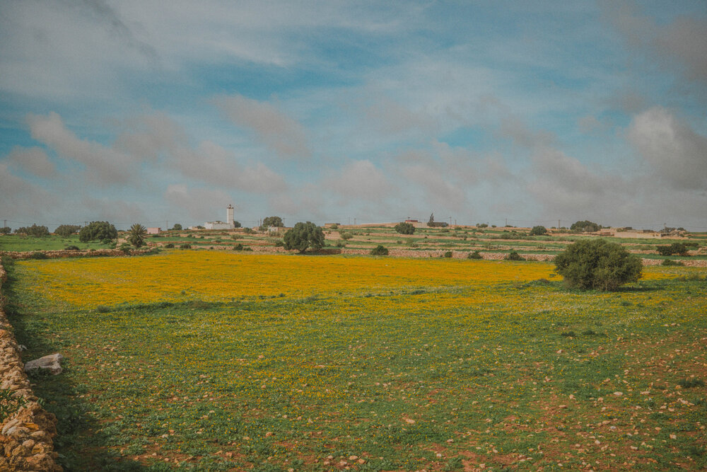 Photograph by Martin San Juan