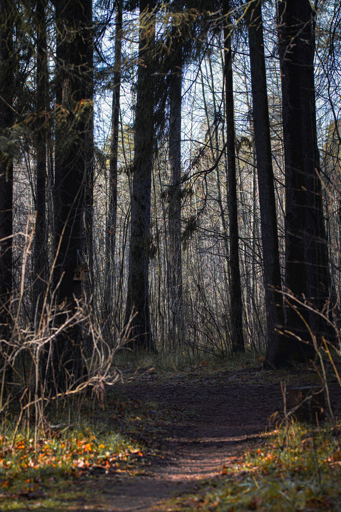 Photograph by Ксения Шилина