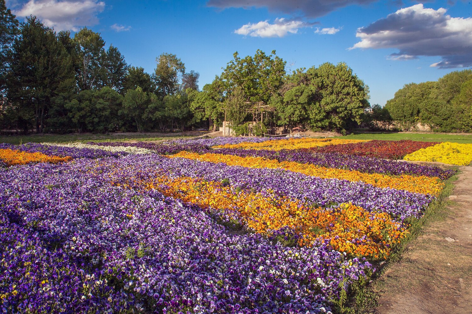 A Garden of Seasons