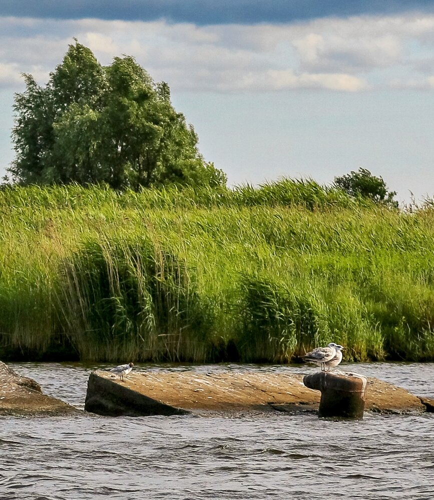 Photograph by Климов Дмитрий