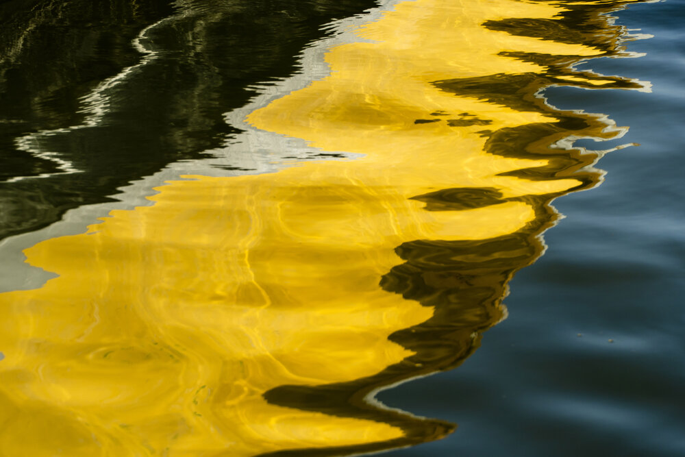 Photograph by Amir Minabian