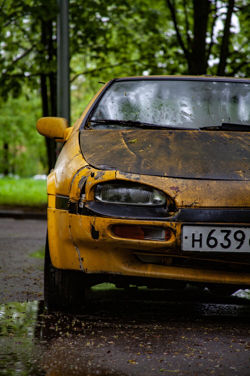 Photo #13814566