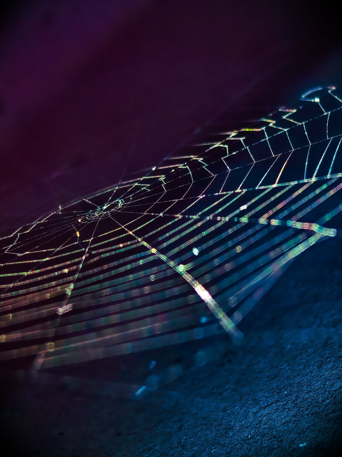 Ghostly geometry