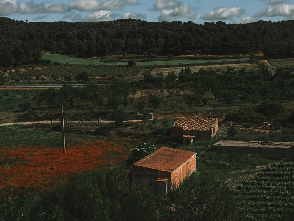 Photograph by Uliana Volegova