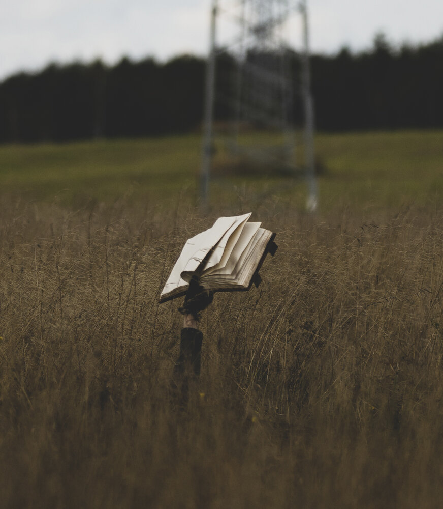 Photograph by Роман Алексеев