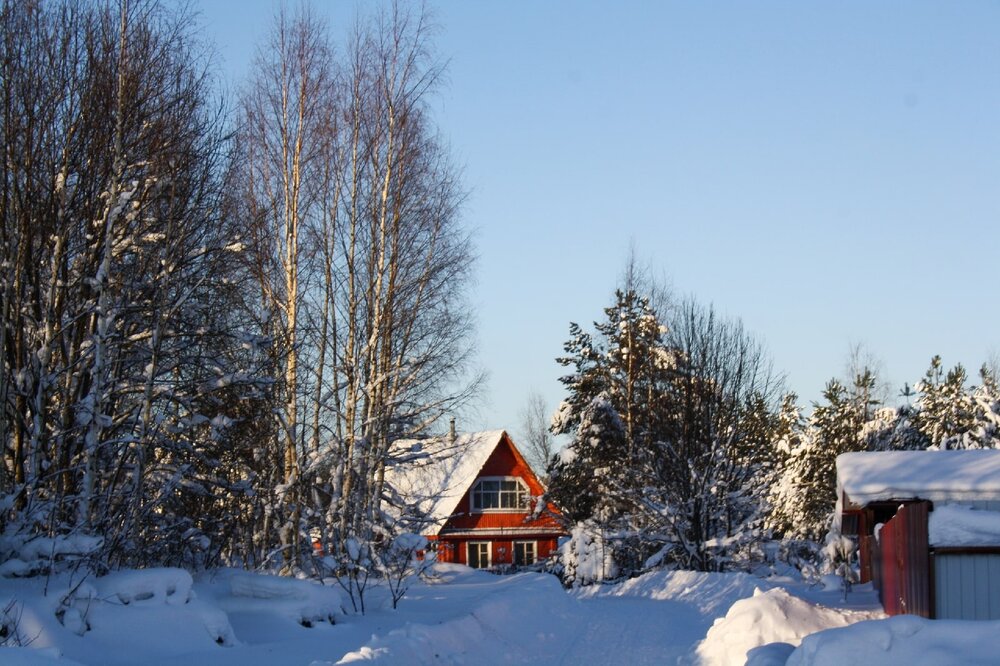 Photograph by Полина Вязникова