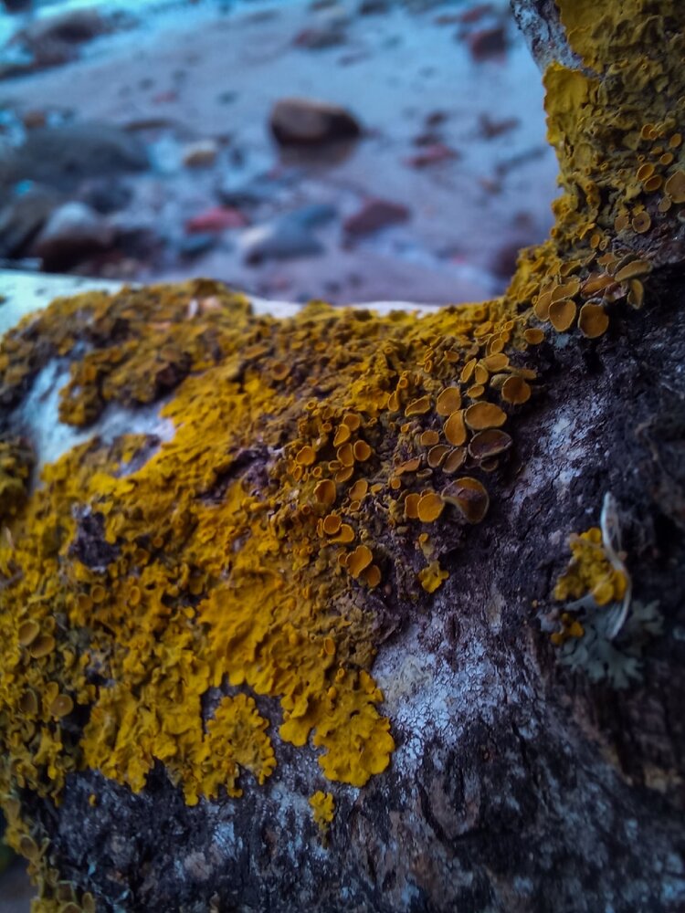 Photograph by Полина Вязникова