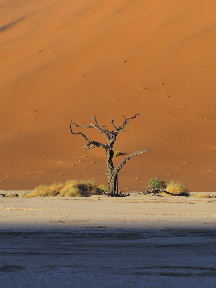 Photograph by Павел Сазанов