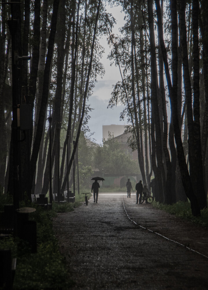 Photograph by Фролов Антон