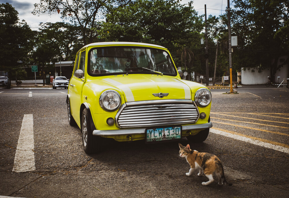 Photograph by Eugene Resh