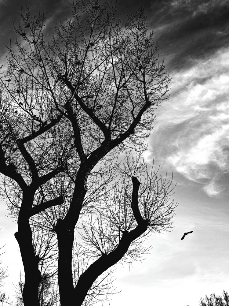 Photograph by Vadym Melnyk