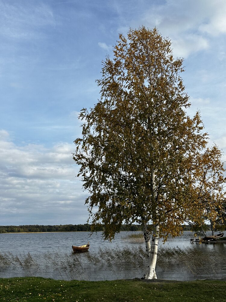 Фотография автора Дина Илющенко