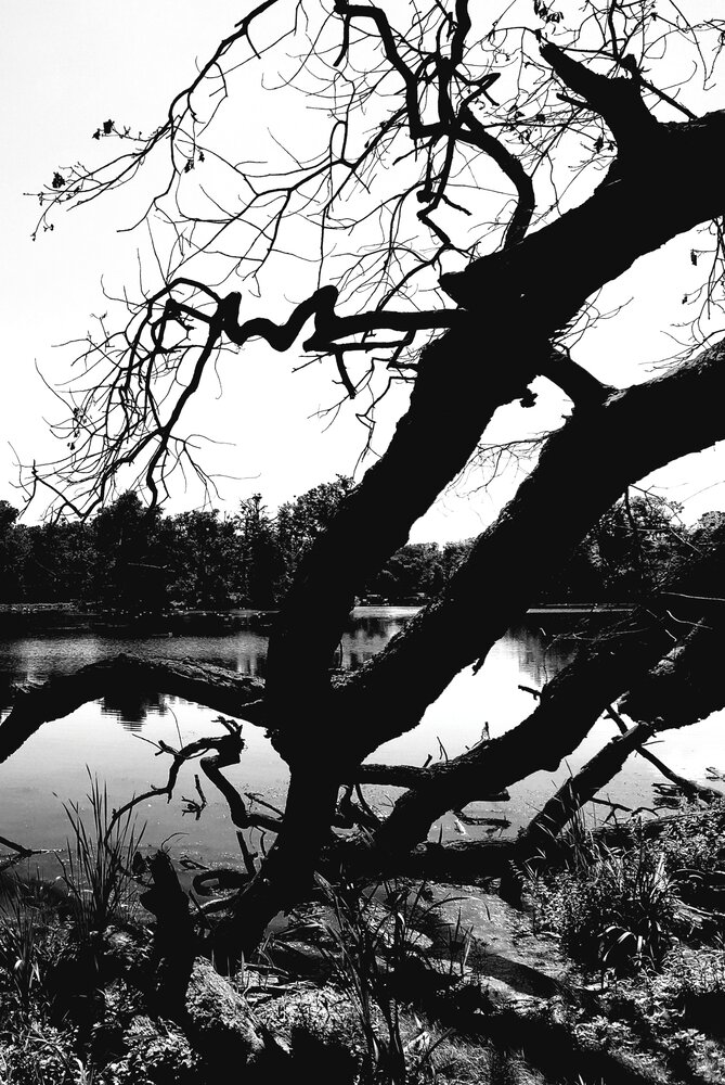 Photograph by Vadym Melnyk
