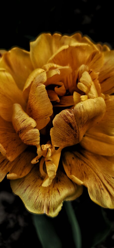 Photograph by Елена Сабирова
