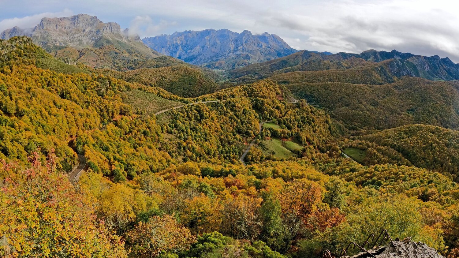 Fall landscape
