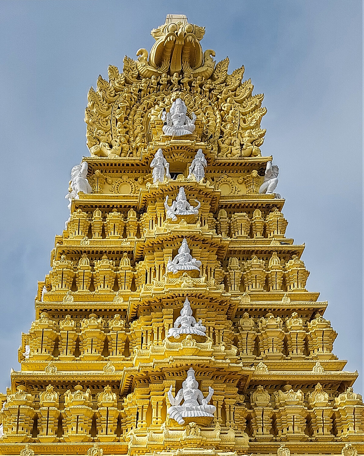 Carved in Gold