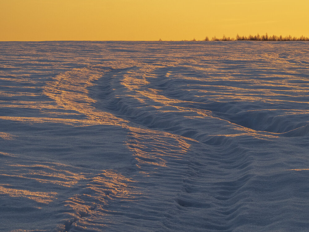 Photograph by Надежда Михайлина