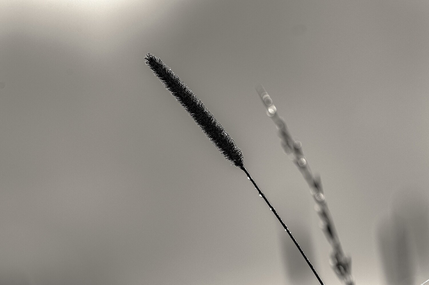 Photo #13815273