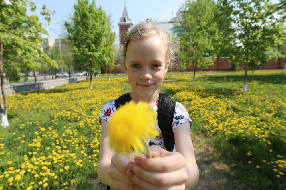 Photograph by Ирина Сушко