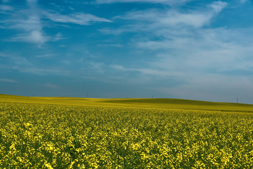 Photograph by Дядич Виталий